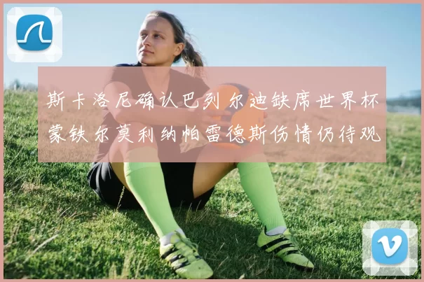 斯卡洛尼确认巴列尔迪缺席世界杯蒙铁尔莫利纳帕雷德斯伤情仍待观察