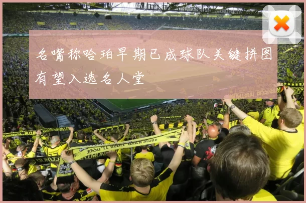 名嘴称哈珀早期已成球队关键拼图有望入选名人堂