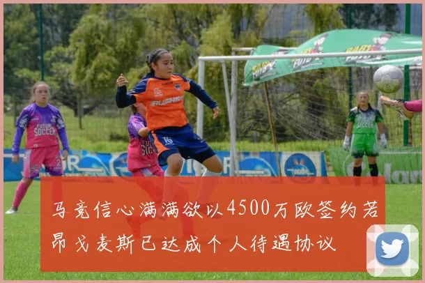 马竞信心满满欲以4500万欧签约若昂戈麦斯已达成个人待遇协议